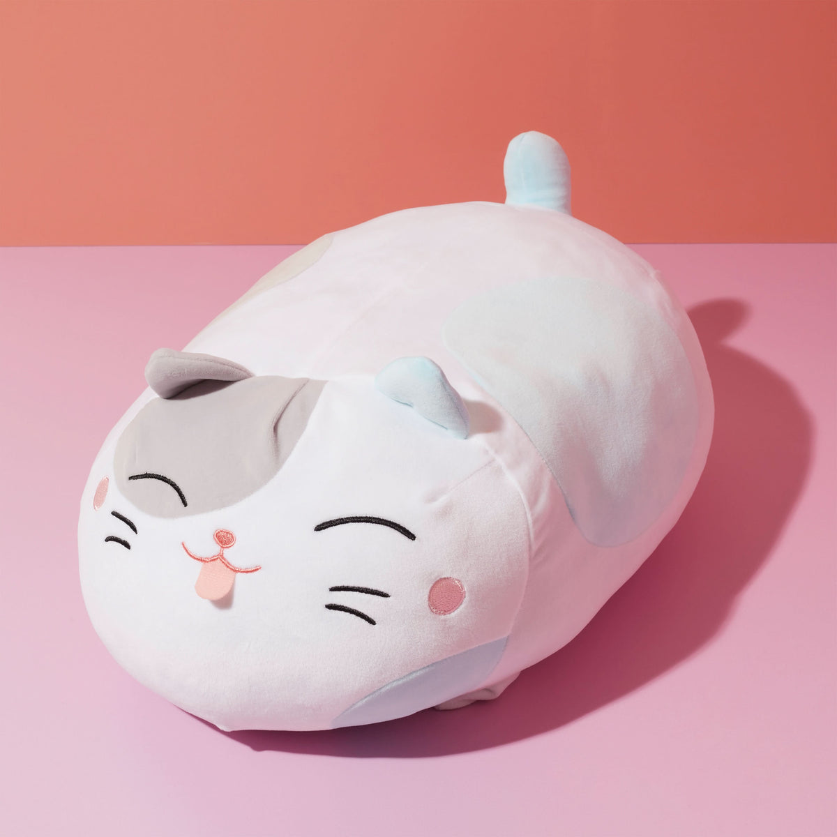 COUSSIN CHAT