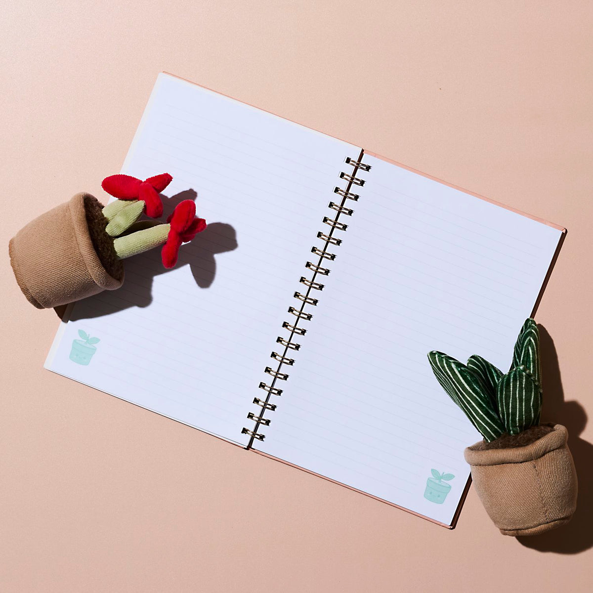 CARNET PETITE PLANTE
