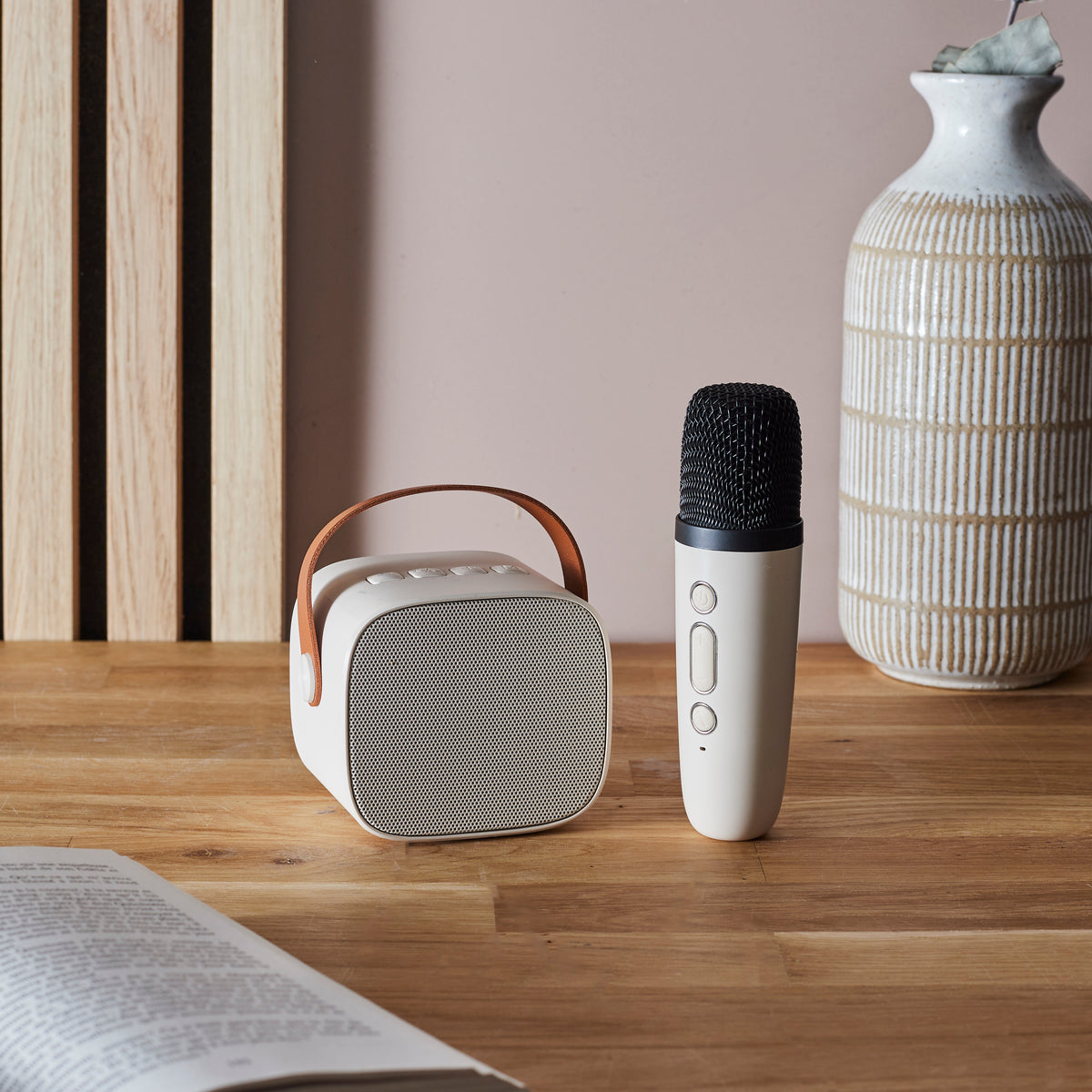 ENCEINTE ET MICRO KARAOKE DESIGN 5W