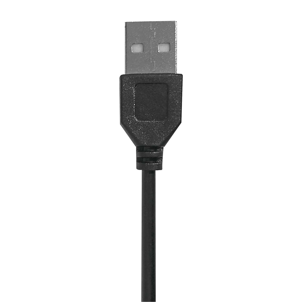 LAMPE LED OVALE SUR PIED 120CM