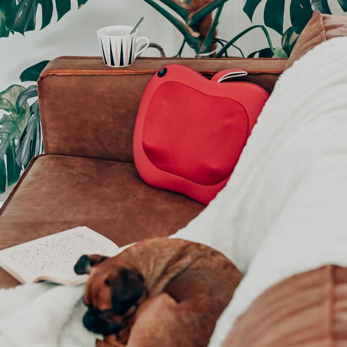 COUSSIN MASSEUR RELAXO