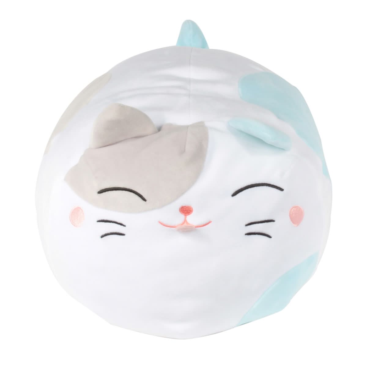 COUSSIN CHAT