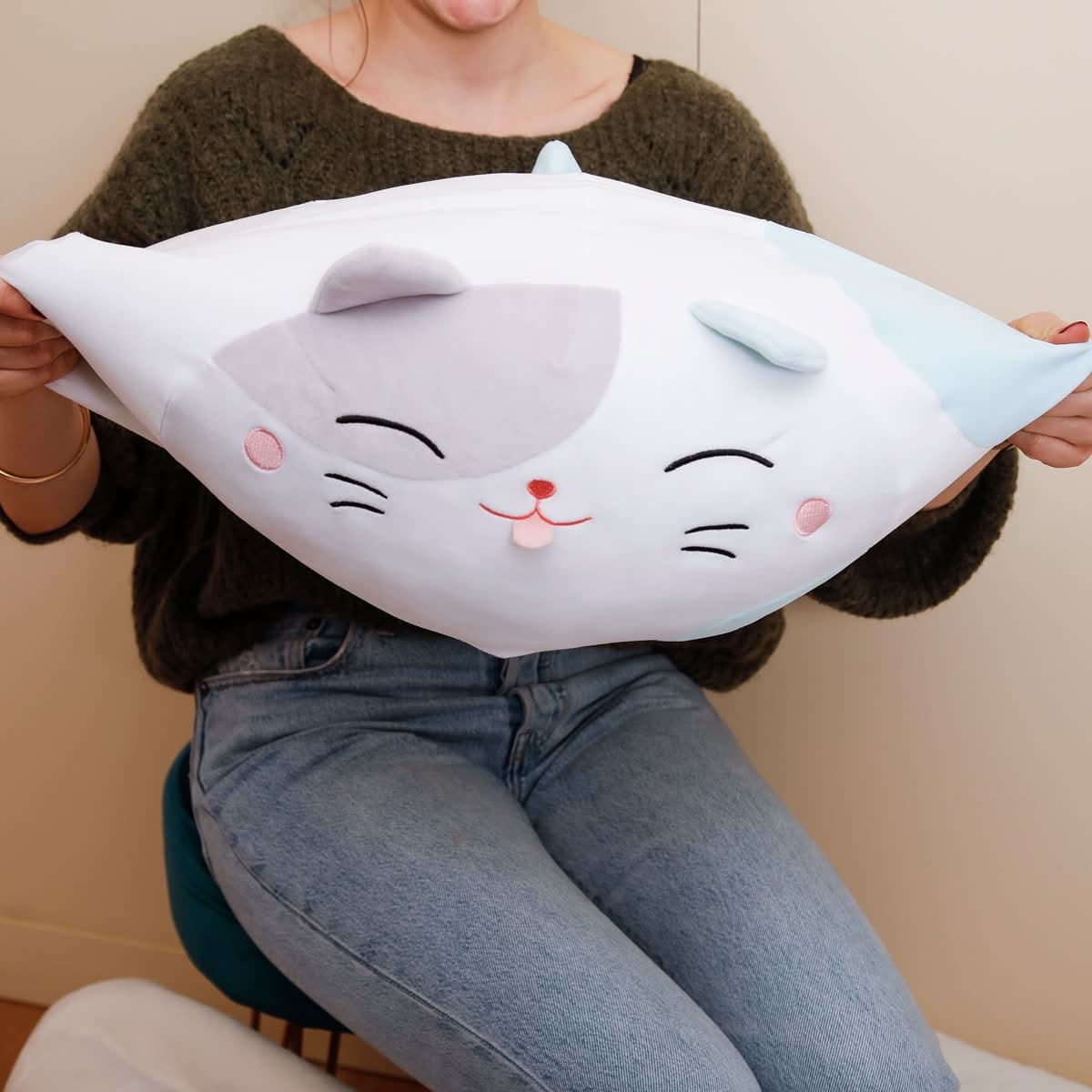 COUSSIN CHAT